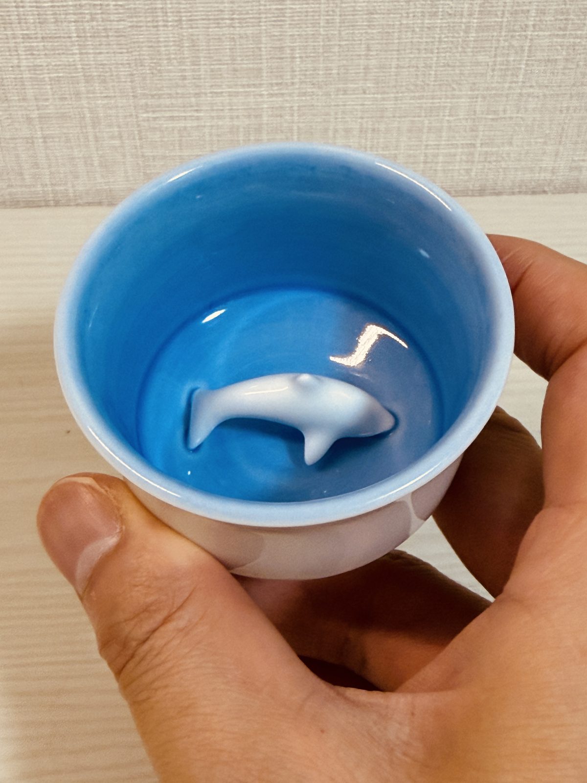 Takahama Ware guinomi held in the hand