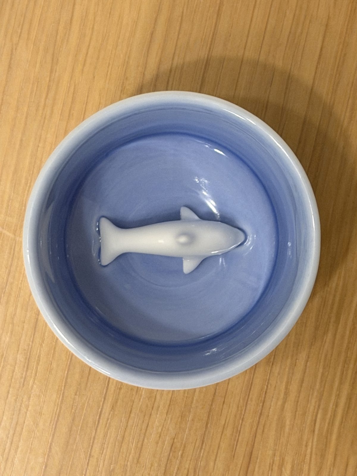 Dolphin viewed from directly above inside the Takahama Ware guinomi